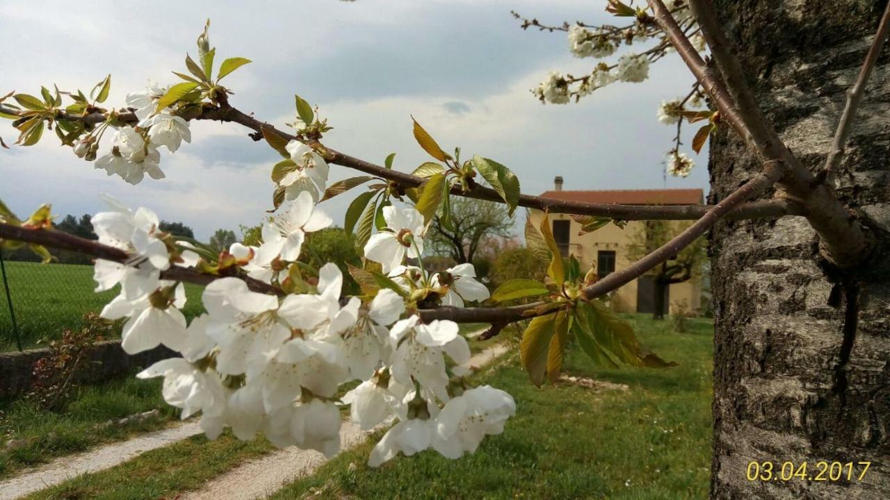 B&B Fior Fiore Spello Buitenkant foto